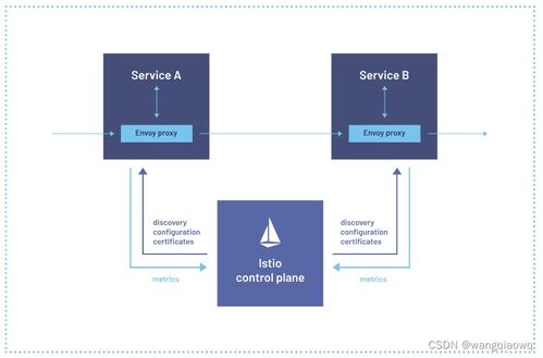 Istio学习笔记 服务网格在信息系统运行维护服务中的应用与实践